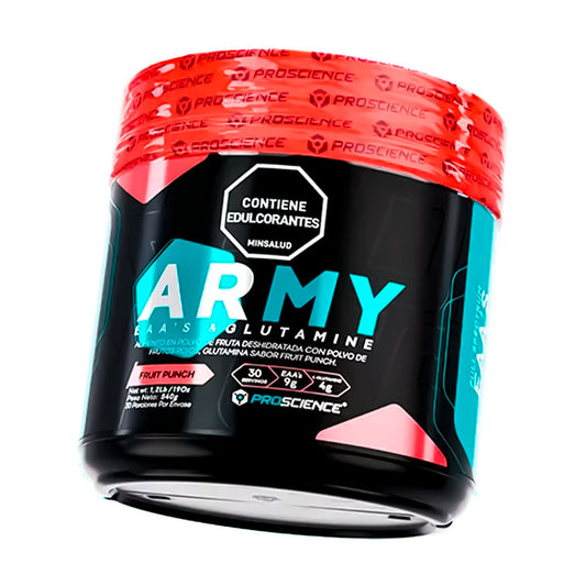 Army 30 Servicios