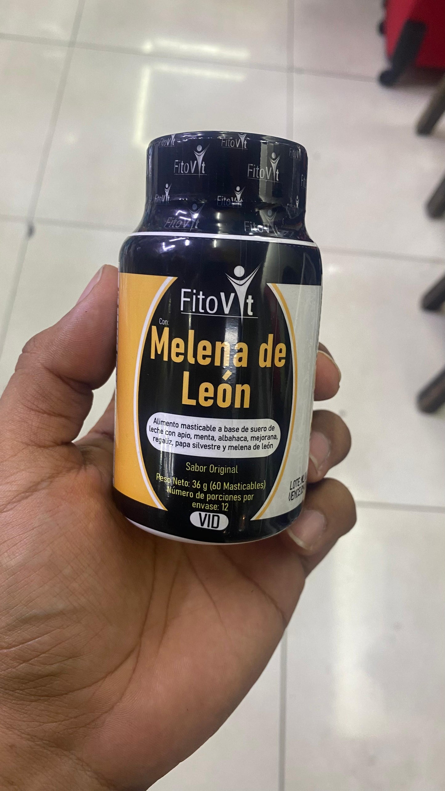 Hongo Melena de León